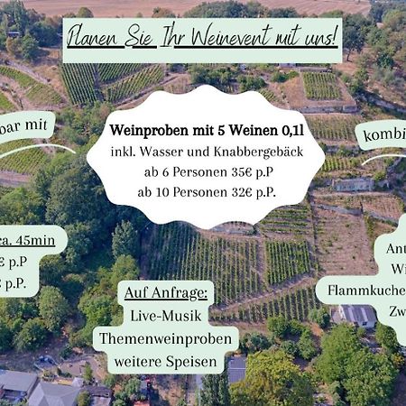 Ferienhaus Traminer Im Weinberg Freyburg Exteriör bild