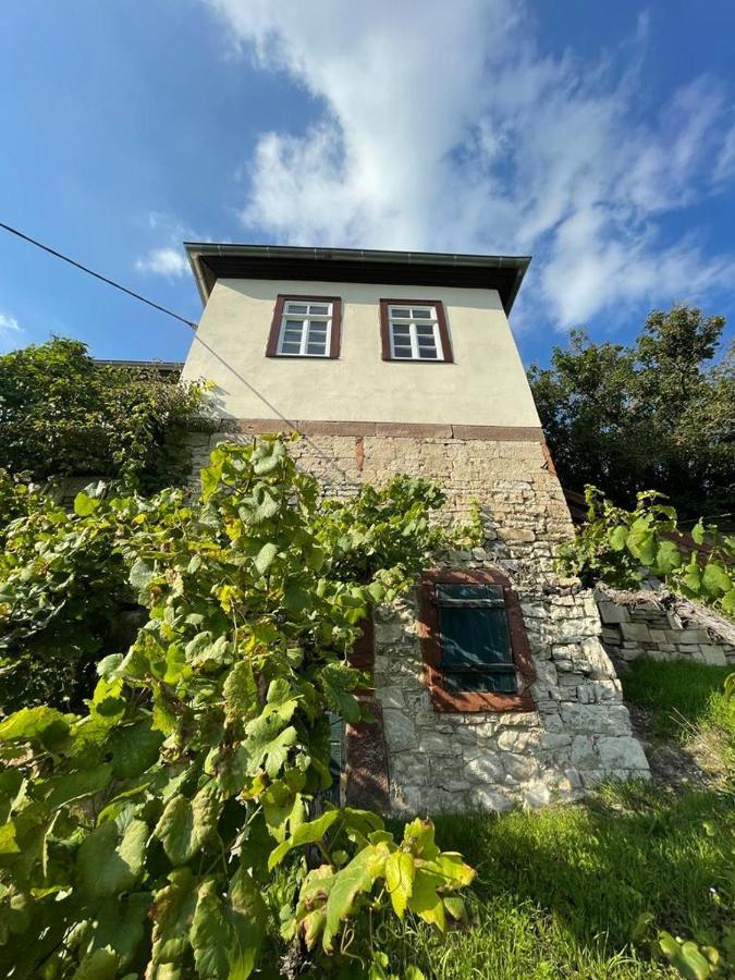 Ferienhaus Traminer Im Weinberg Freyburg Exteriör bild