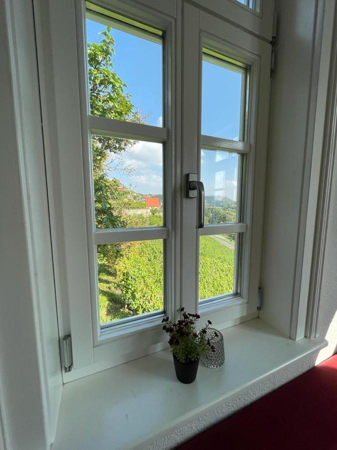Ferienhaus Traminer Im Weinberg Freyburg Exteriör bild