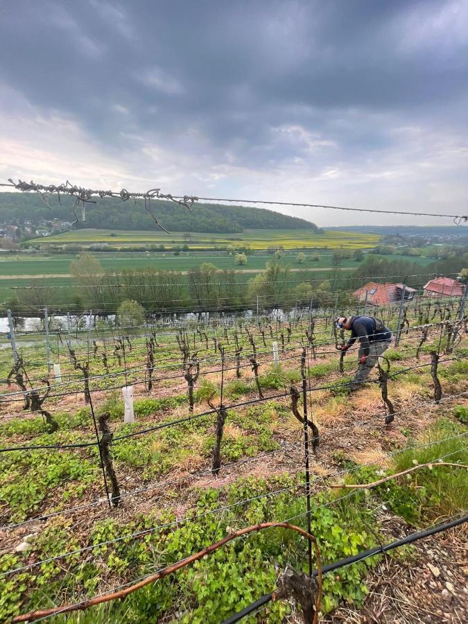 Ferienhaus Traminer Im Weinberg Freyburg Exteriör bild