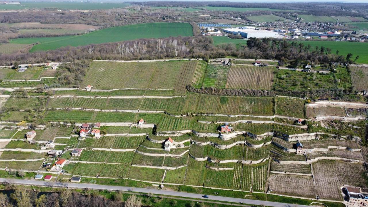 Ferienhaus Traminer Im Weinberg Freyburg Exteriör bild