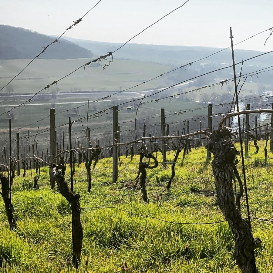 Ferienhaus Traminer Im Weinberg Freyburg Exteriör bild