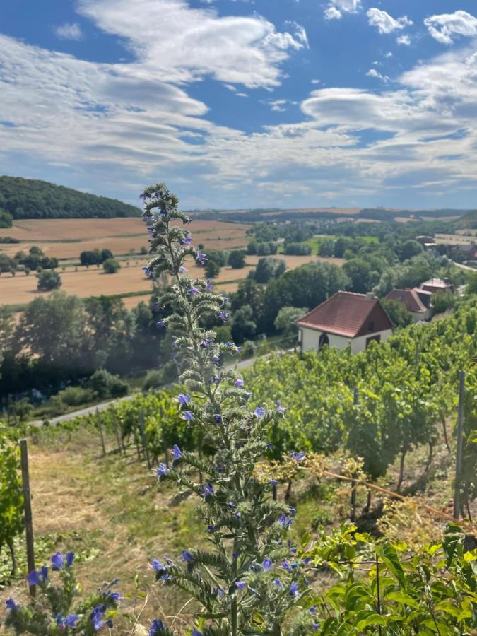 Ferienhaus Traminer Im Weinberg Freyburg Exteriör bild