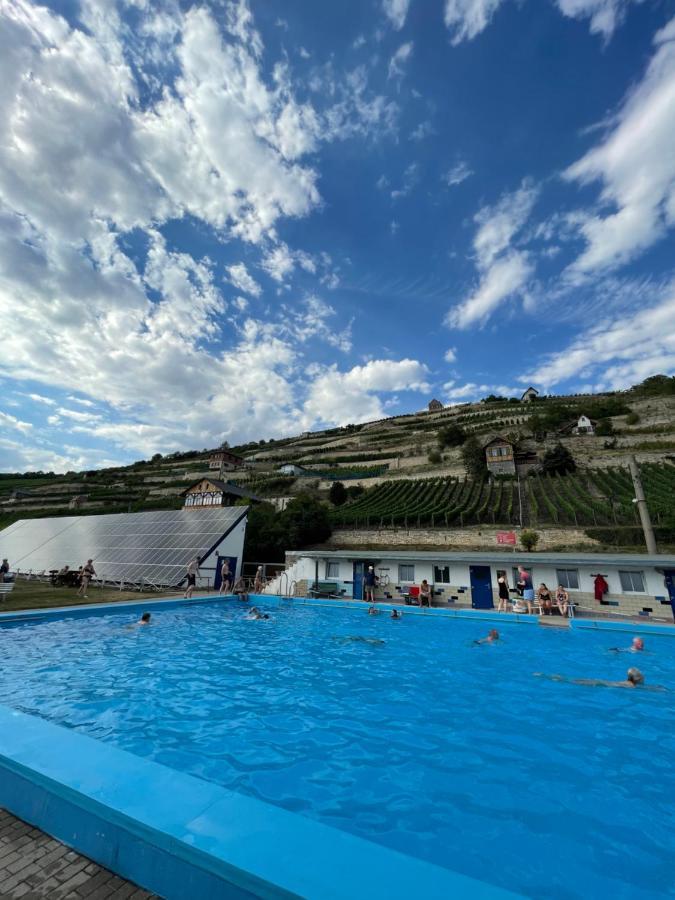Ferienhaus Traminer Im Weinberg Freyburg Exteriör bild